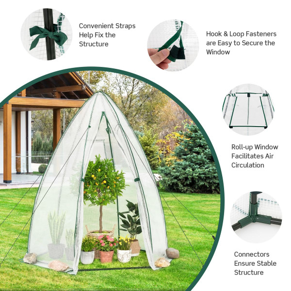 Portable Mini Walk-in Greenhouse  product image