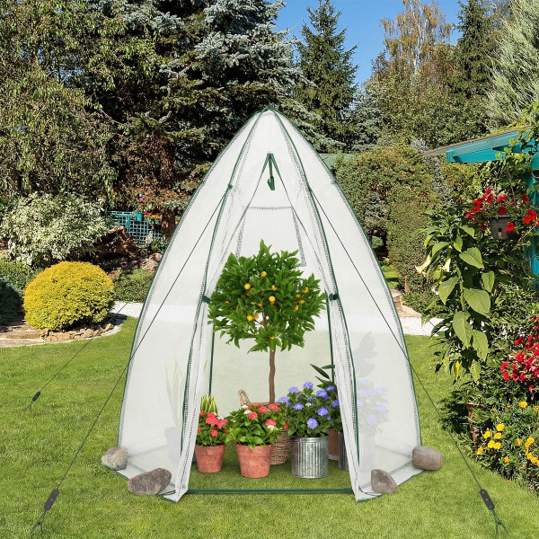 Portable Mini Walk-in Greenhouse  product image