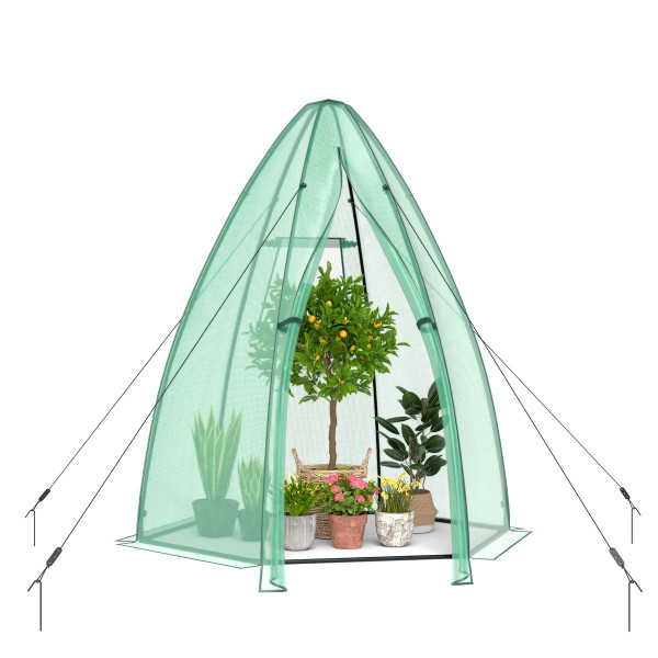 Portable Mini Walk-in Greenhouse  product image
