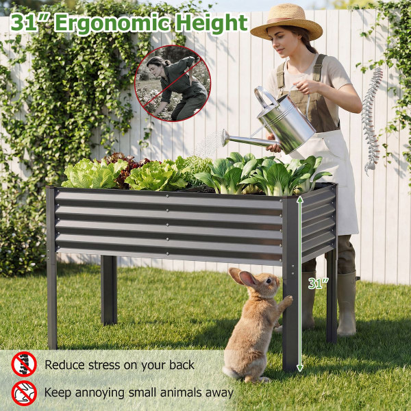 Galvanized Steel Raised Garden Bed (1- or 2-Pack) product image