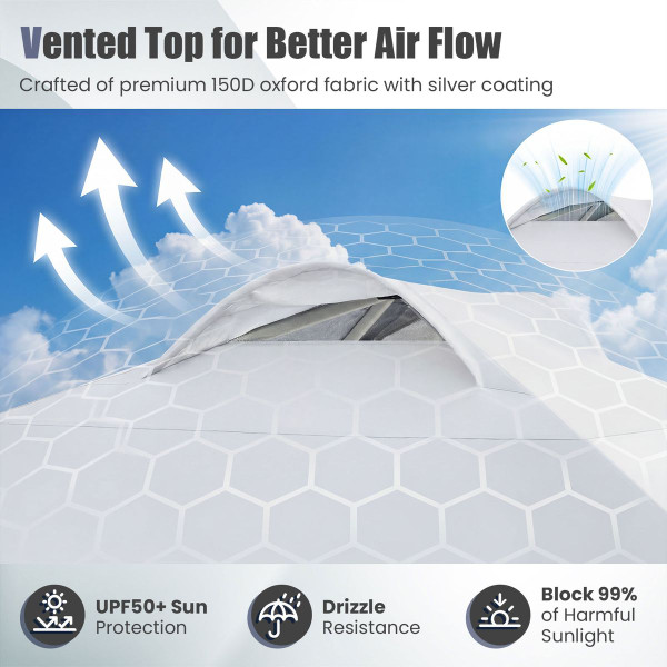 10x10-foot Pop up Canopy Tent product image