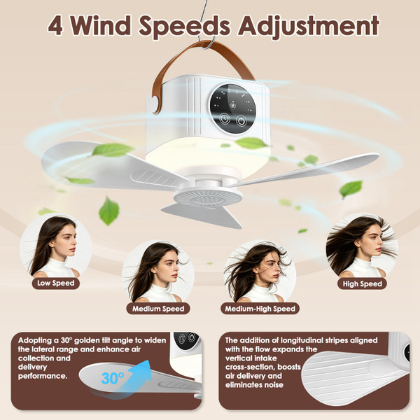 2-in-1 Camping Fan with Light  product image