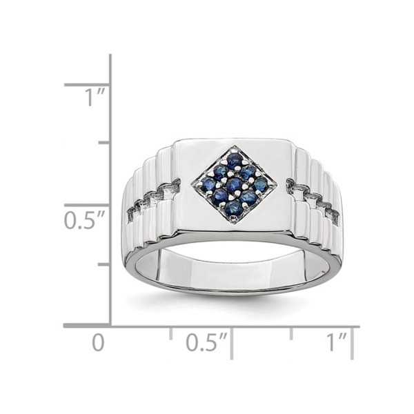 Men's 1/3 Carat (ctw) Natural Sapphire Ring in Sterling Silver product image