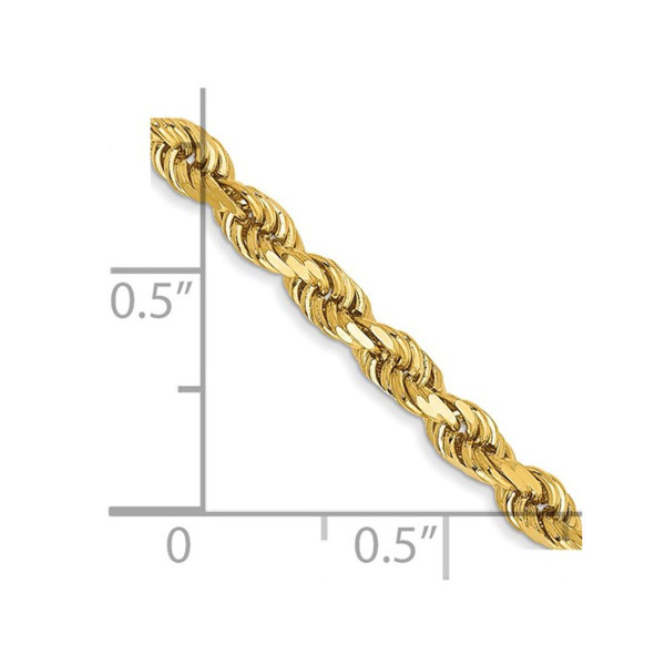 22" 14K Yellow Gold Diamond-Cut Rope Chain Necklace (3.00 mm) product image