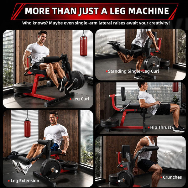 Leg Extension and Curl Machine product image