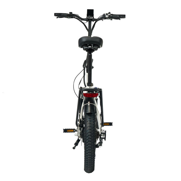 GoPowerBike GoExpress V2 Folding Electric Bike product image