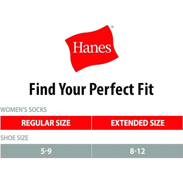 Hanes Xtemp No Show Socks  (12-Pack) product image