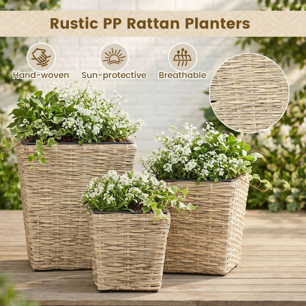 Tapered Rattan Planters (Set of 3) product image