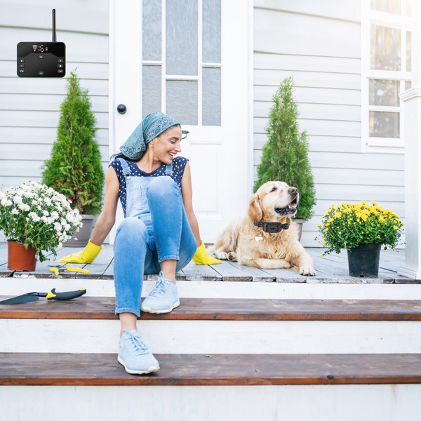 Wireless Dog Fence and Training Collar product image