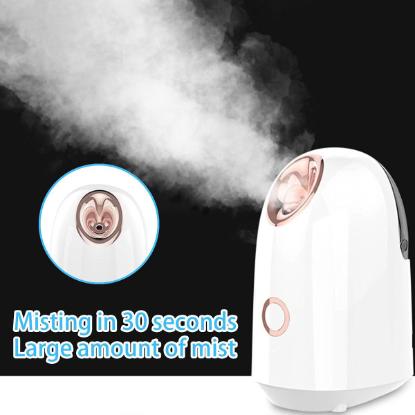 Hot Mist Face Steamer product image