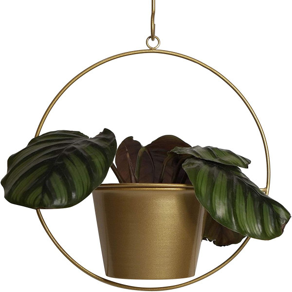 6" Hanging Pot Wall Planters  product image