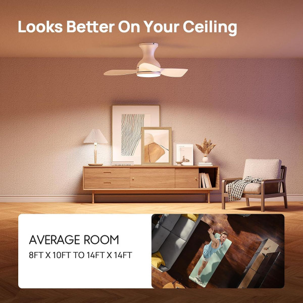 Consciot Ceiling Fan  product image