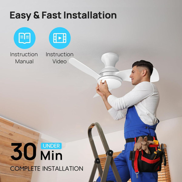 Consciot Ceiling Fan  product image