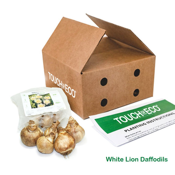 First Blooming Deer-Resistant Flowers (3 Varieties) product image