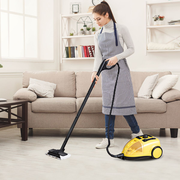 Professional Steam Cleaner  product image