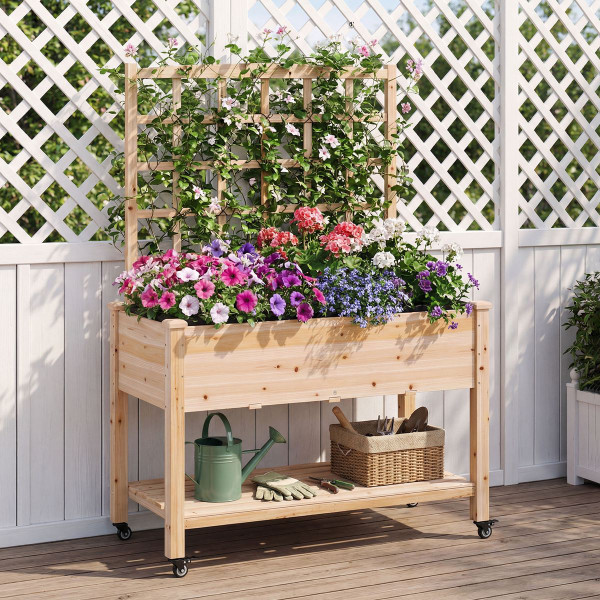 Wooden Raised Garden Bed with Trellis  (Pack of 1 or 2) product image