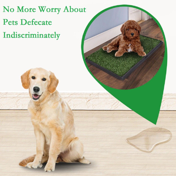 30" x 20" Indoor Pet Potty Training Grass Pad product image