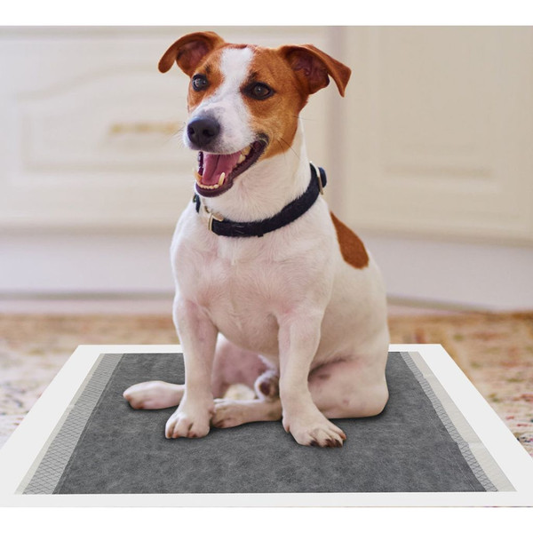Absorbent Dog Training Pads product image