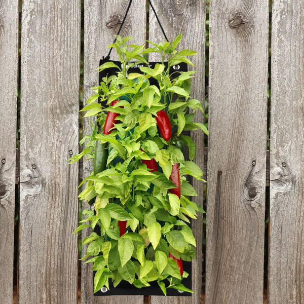 Indoor/Outdoor Organic Hanging Fruit & Veggie Garden Kits product image