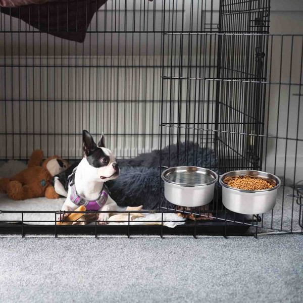 iMounTEK® Stainless Steel Pet Bowl product image