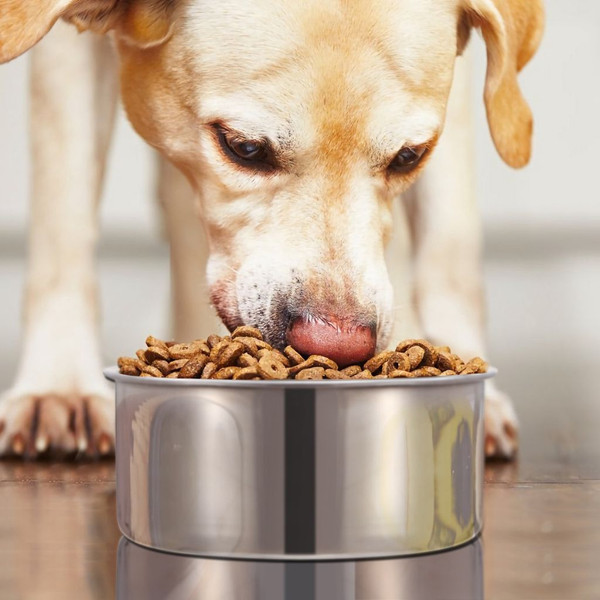 iMounTEK® Stainless Steel Pet Bowl product image
