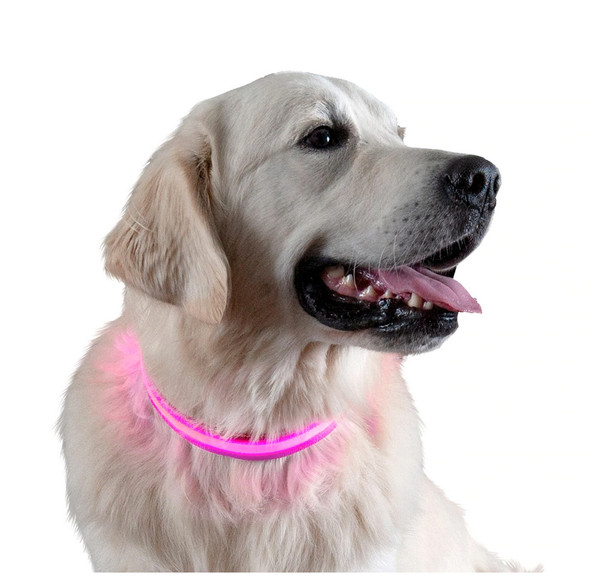 LED Safety Light-up Dog Collar product image
