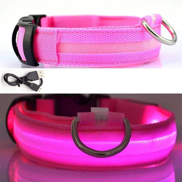 Glow-in-the-Dark Dog Collar product image