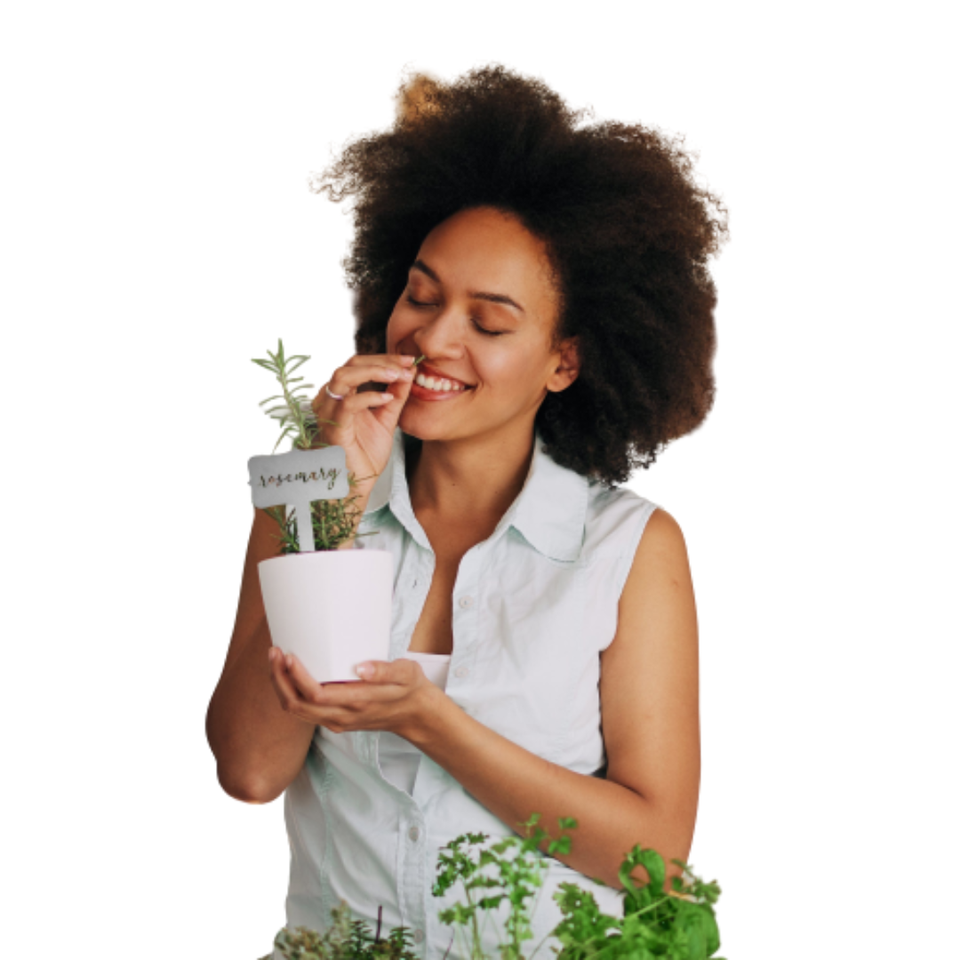 Window Garden Markers Herb Plant Identification Stakes (Choose 5) product image