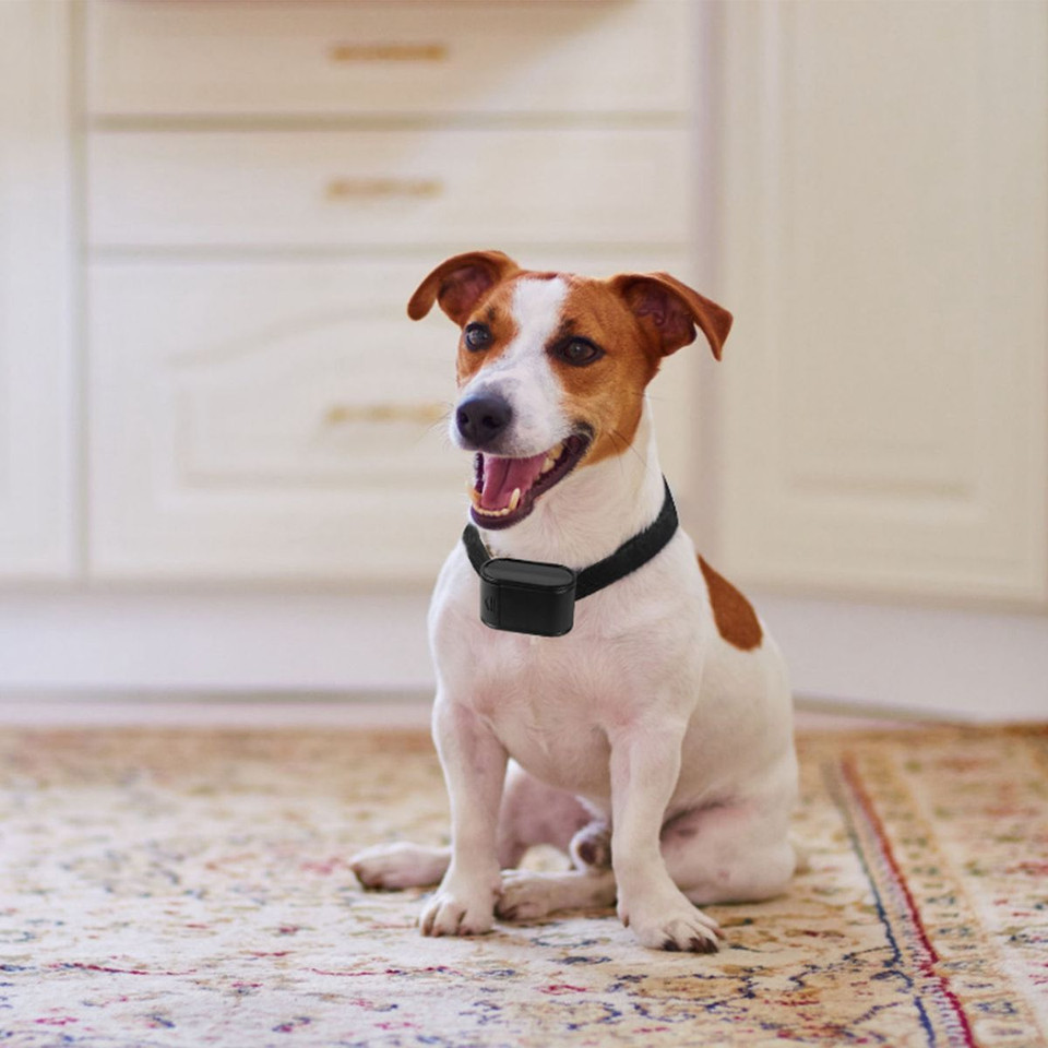 PetLuv™ Electric Dog Fence System product image