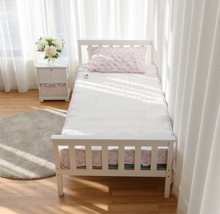 Electric Low-Voltage 5-Temperature Mode Heated Twin Blanket product image