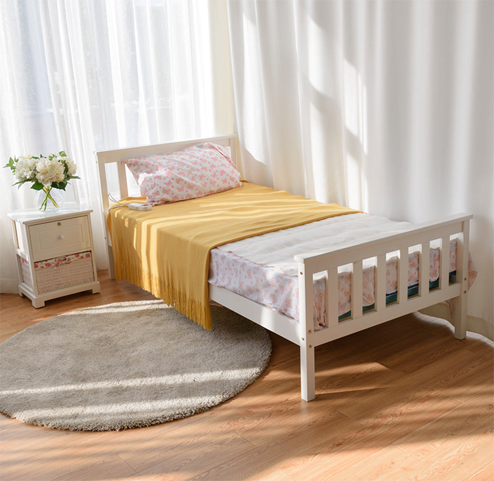 Electric Low-Voltage 5-Temperature Mode Heated Twin Blanket product image