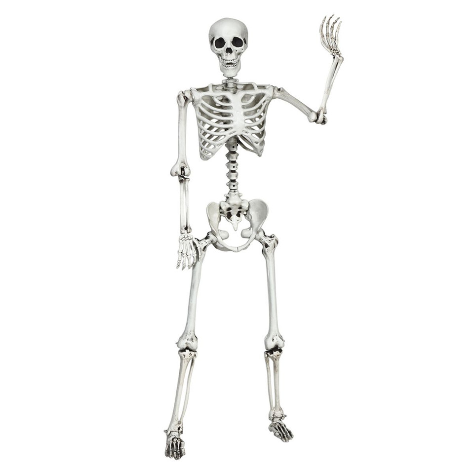 5.4-Foot Halloween Life-Size Full-Body Hanging Skeleton product image