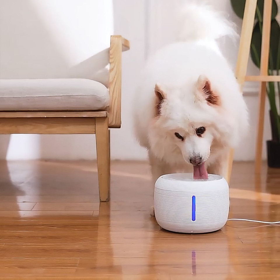 iMounTEK® Automatic Pet Water Fountain product image