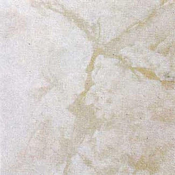 20-Piece 12 x 12-Inch Vinyl Tiles product image