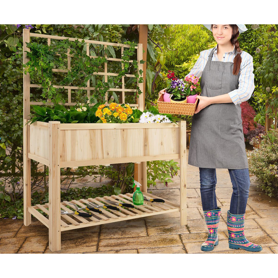 Raised Garden Bed with Trellis product image
