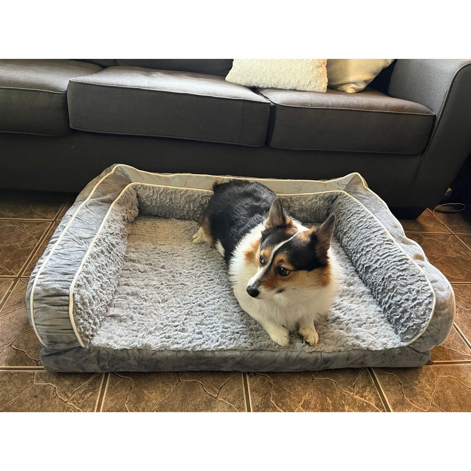 Microplush Orthopedic Bolstered Pet Bed product image