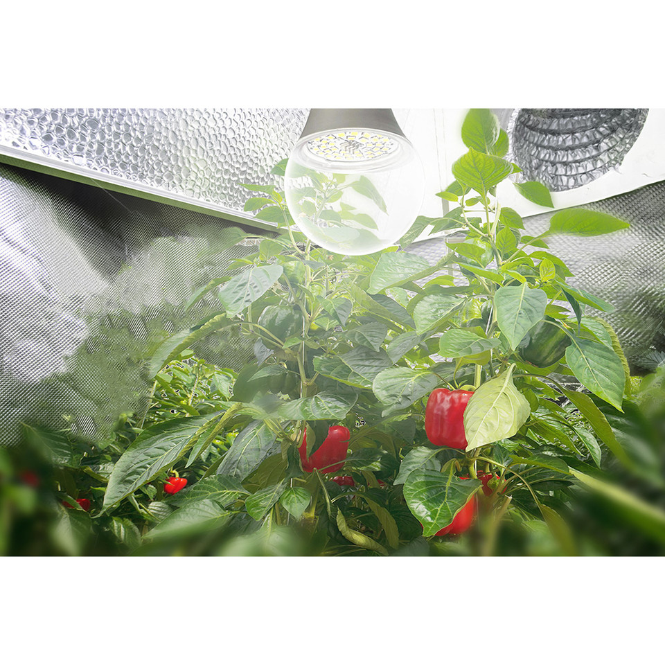 Touch of ECO® 9W Full-Spectrum Grow Lights (1- or 2-Pack) product image