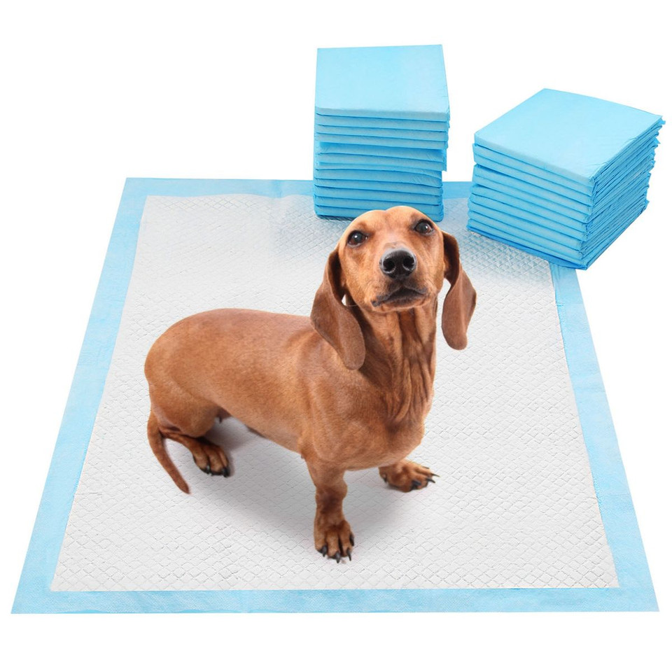 iMounTEK® Disposable Dog Training Underpad Chux, 50 ct. product image