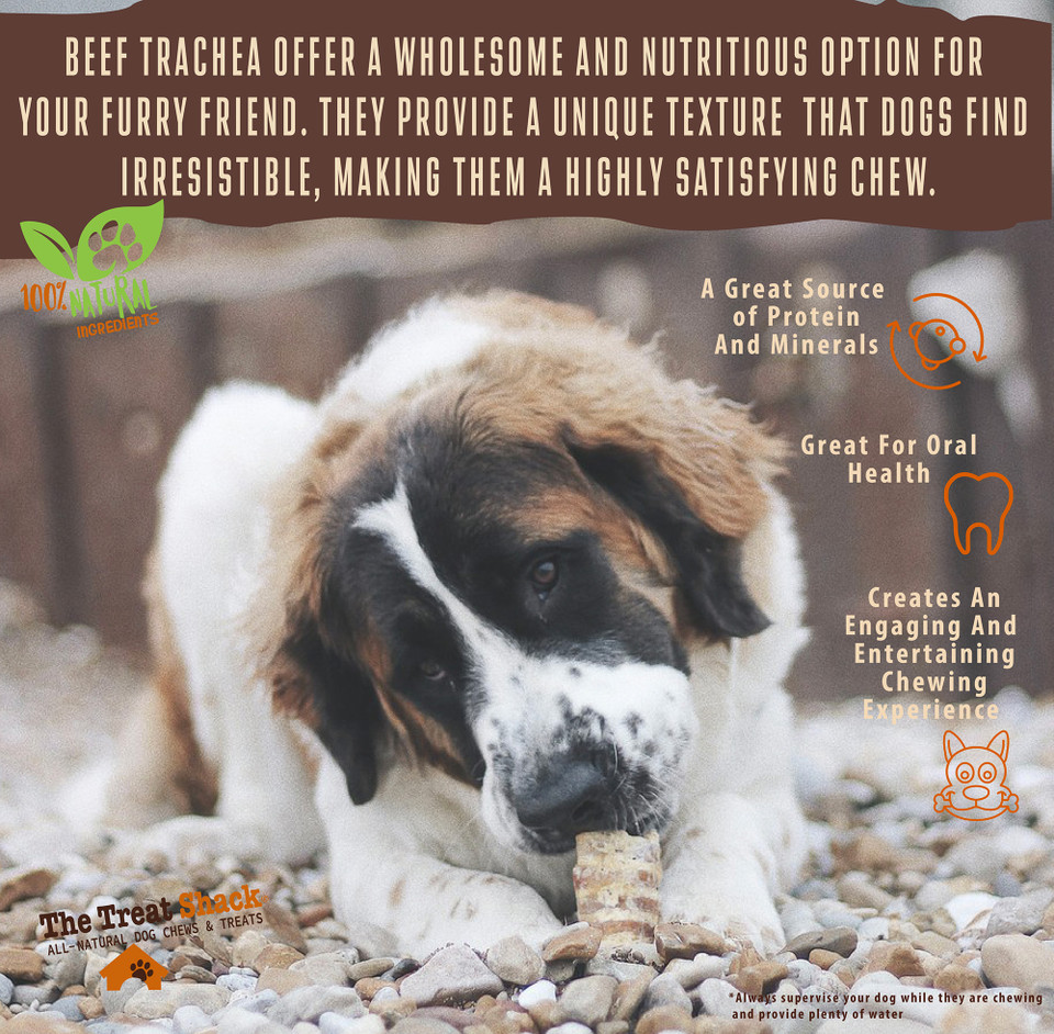 The Treat Shack® 6-Inch Split Beef Trachea Flats Dog Treats product image