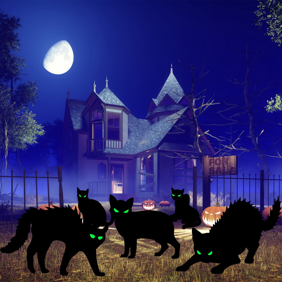 iMounTEK® Halloween Yard Decorations product image