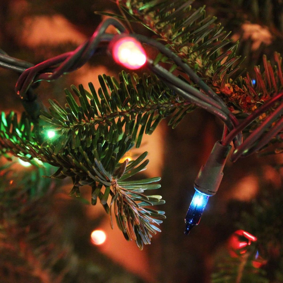  20-Foot 100-Count Incandescent Waterproof Mini String Lights (2-Pack) product image