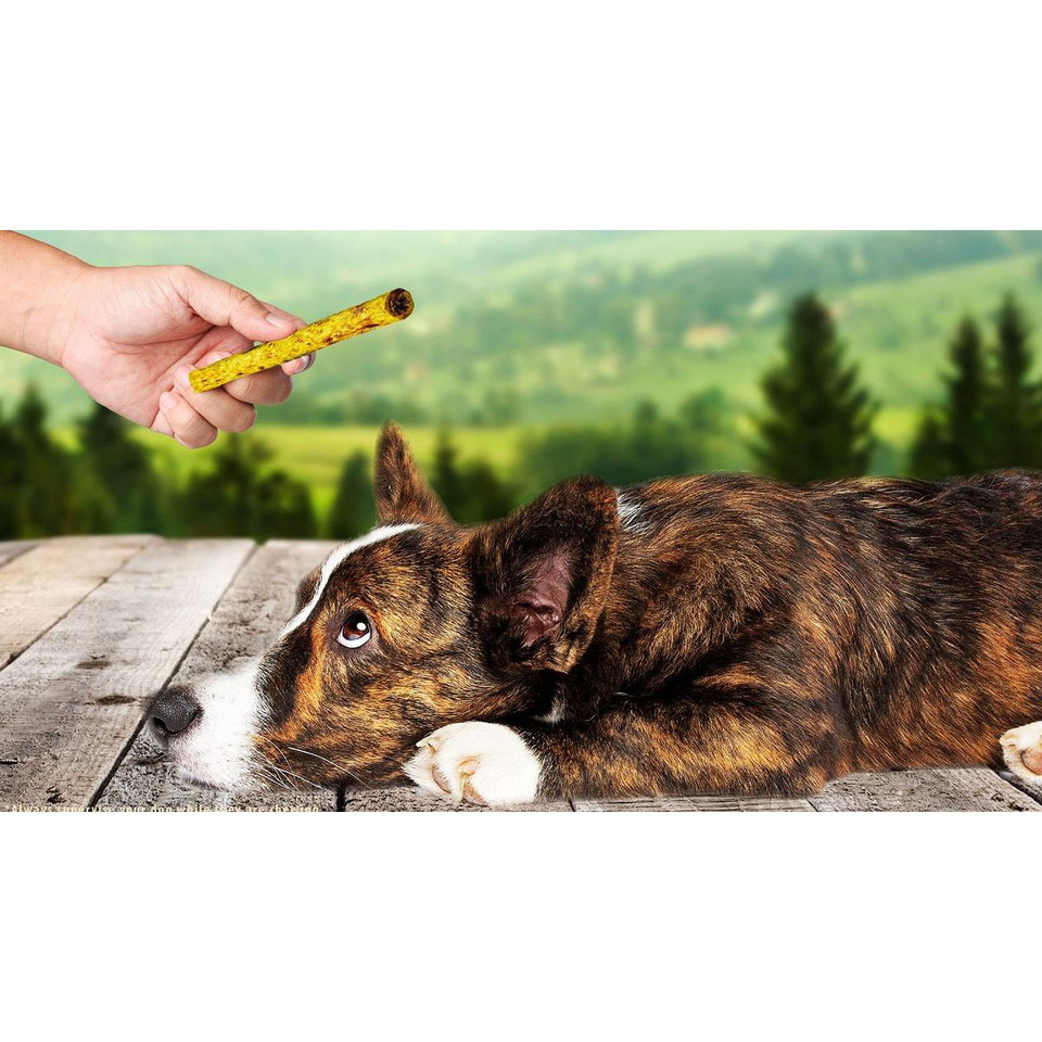 6-Inch Beef Crunchy Rolls Dog Treats by The Treat Shack product image