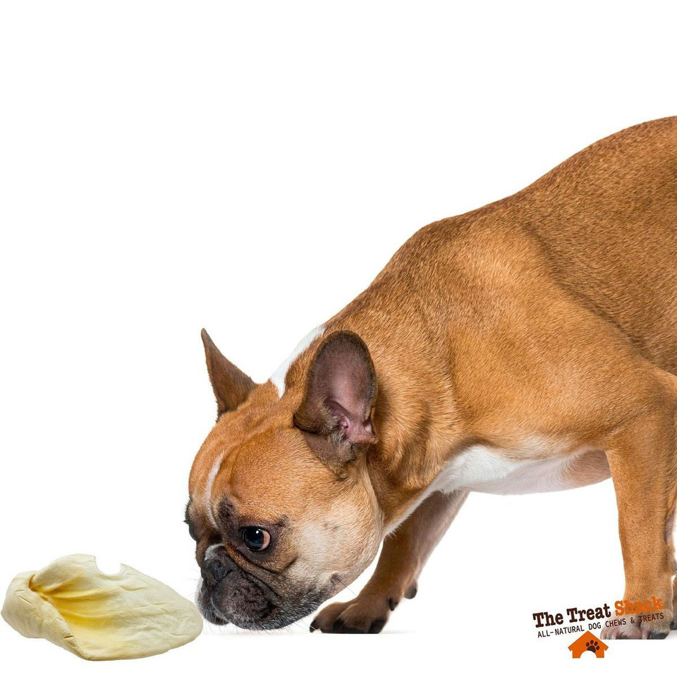 The Treat Shack Large White Cow Ear with Base Dog Treat (5 to 15-Count) product image