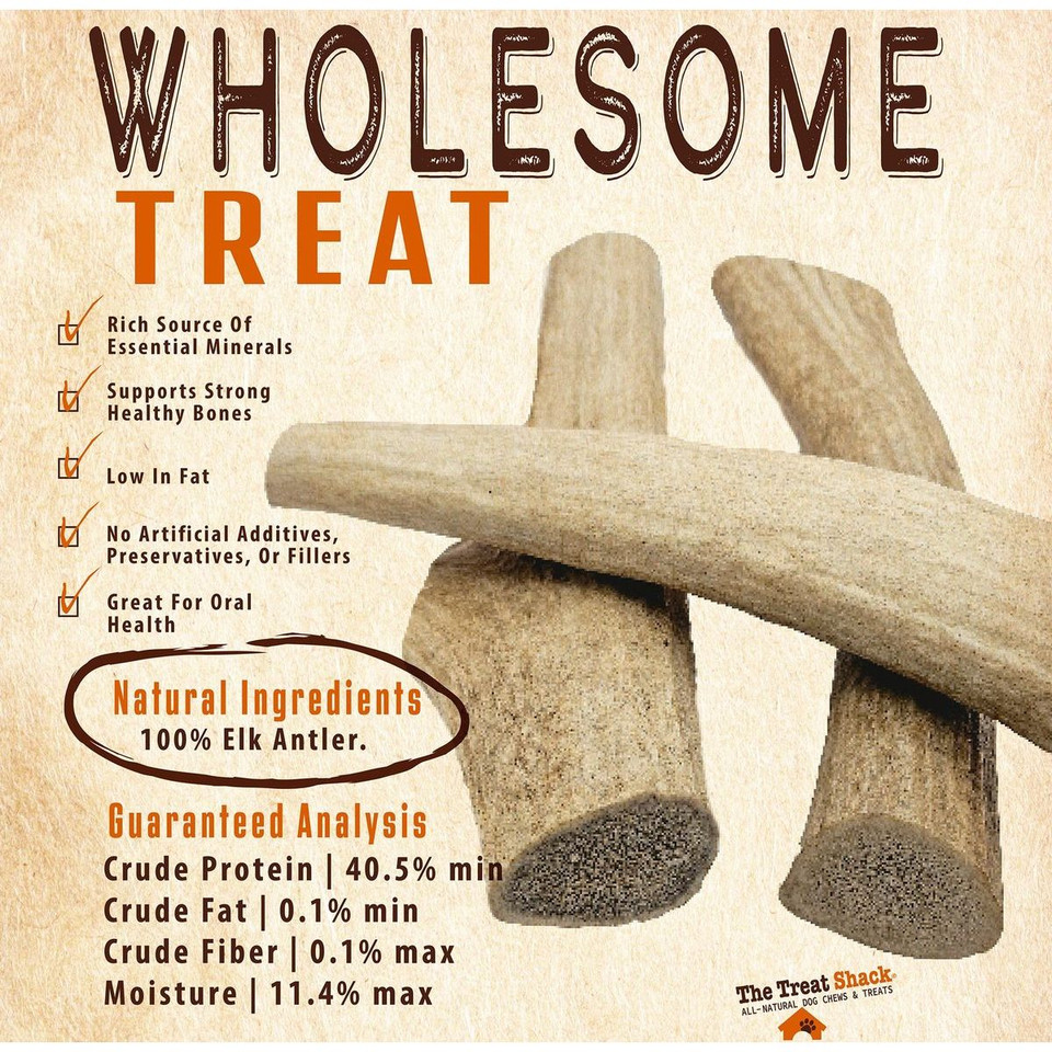 8-9" X-Large Whole Naturally-Shed Elk Antler Dog Treat product image