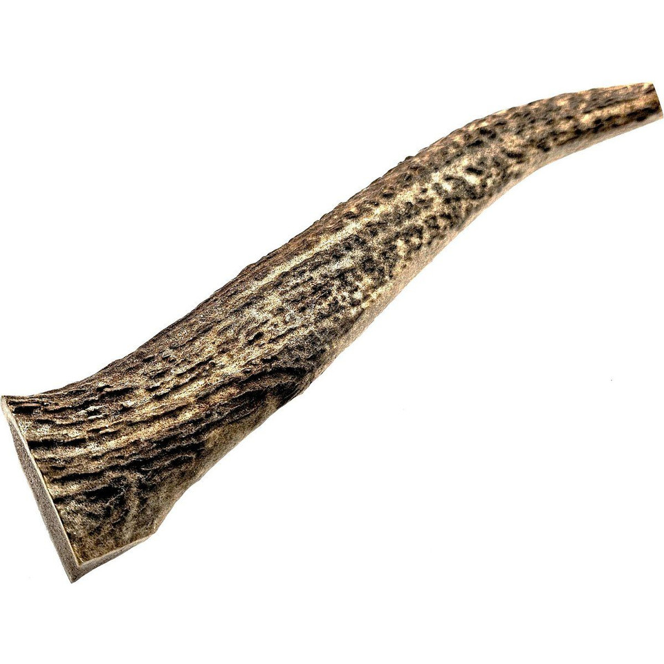 8-9" X-Large Whole Naturally-Shed Elk Antler Dog Treat product image