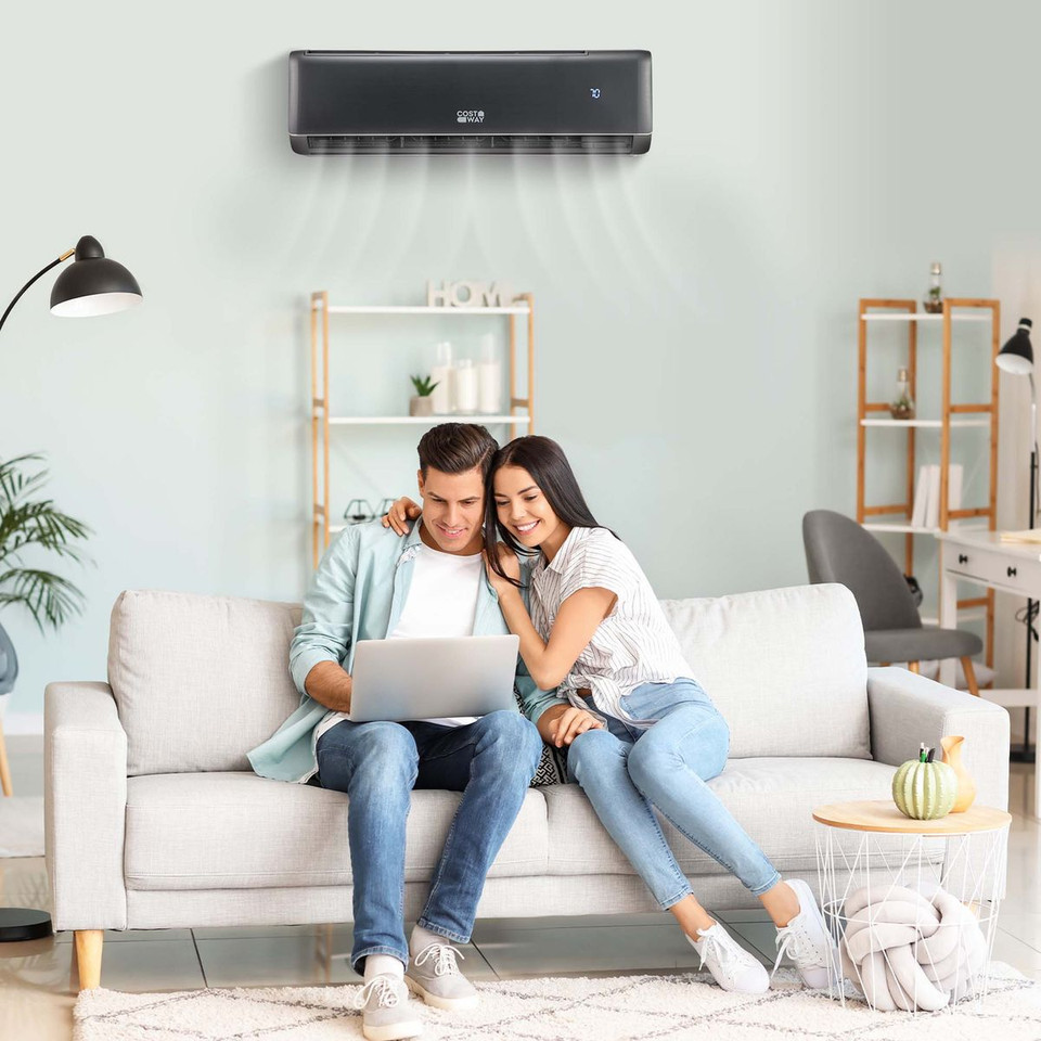 12000 BTU Mini Split Air Conditioner and Heater with Heat Pump product image