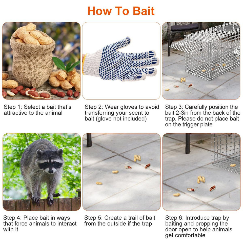 Imountek Collapsible Animal Trap Cage product image