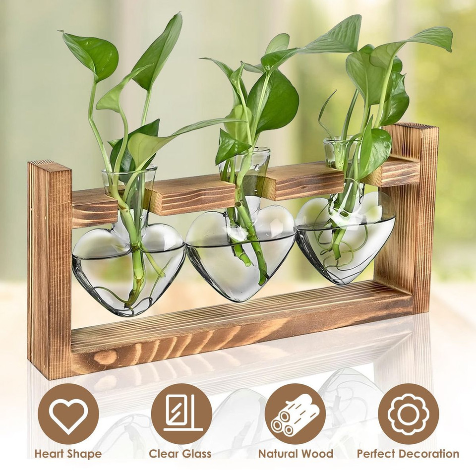 Desktop Plant Propagation Station product image