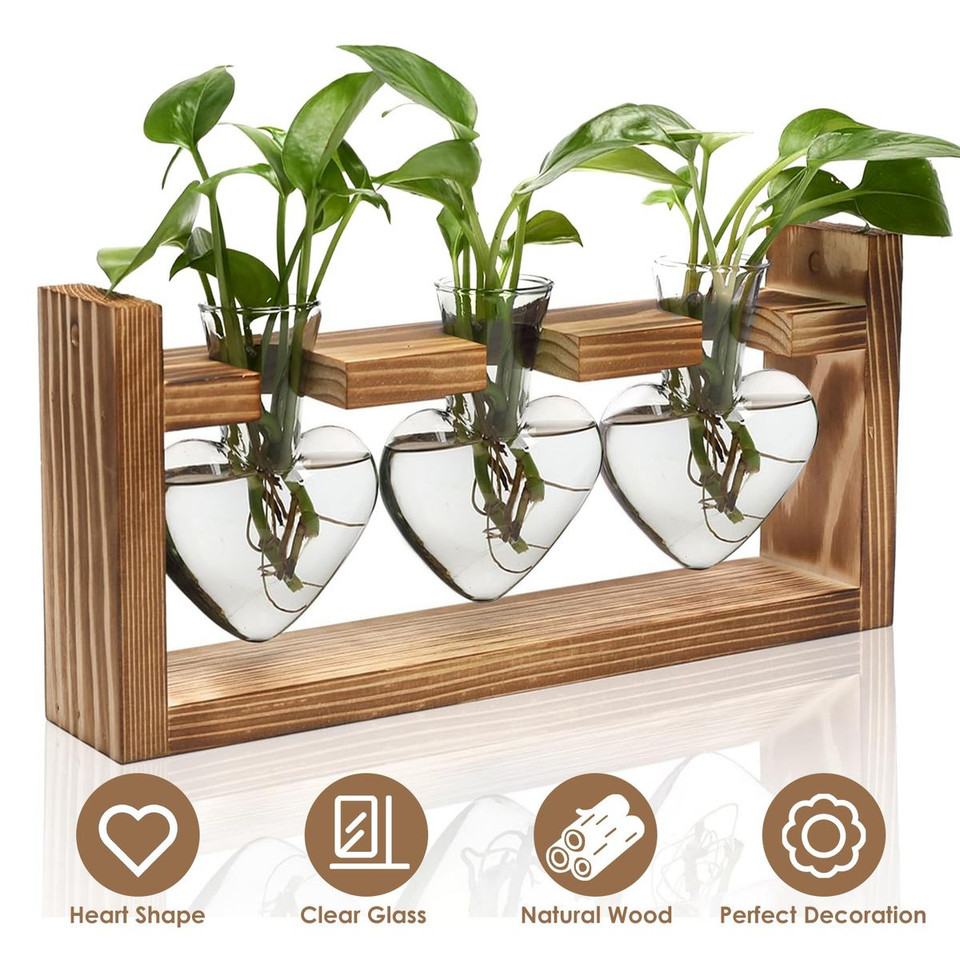 Desktop Plant Propagation Station product image