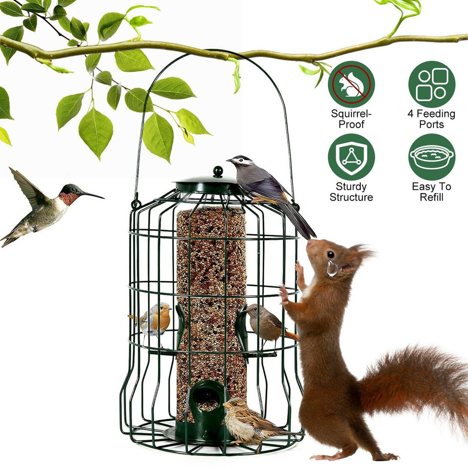 Squirrel-Proof Bird Feeder product image